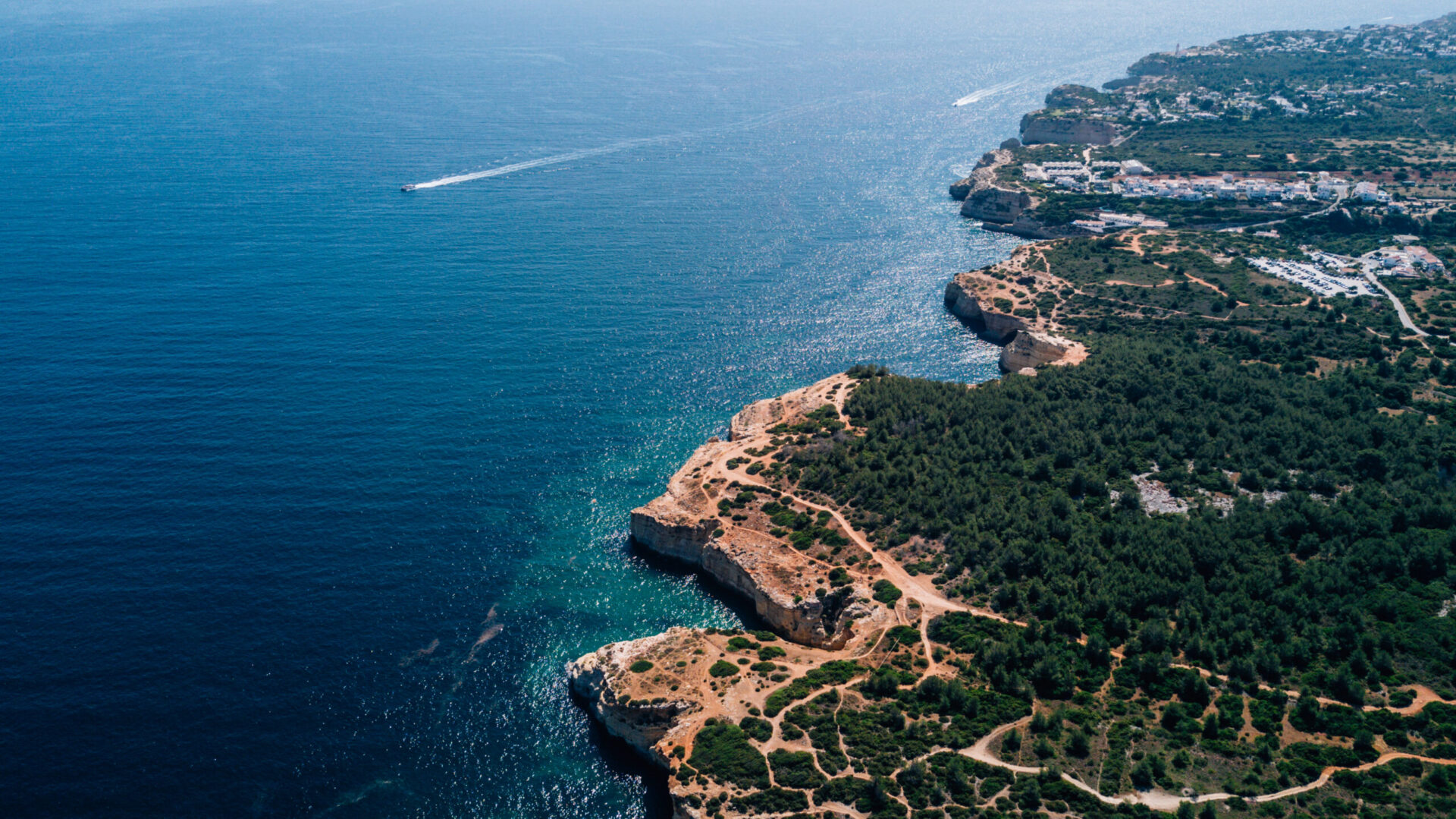 As Pragas Mais Ativas em Fevereiro no Algarve e Como Preveni-las no Seu Espaço