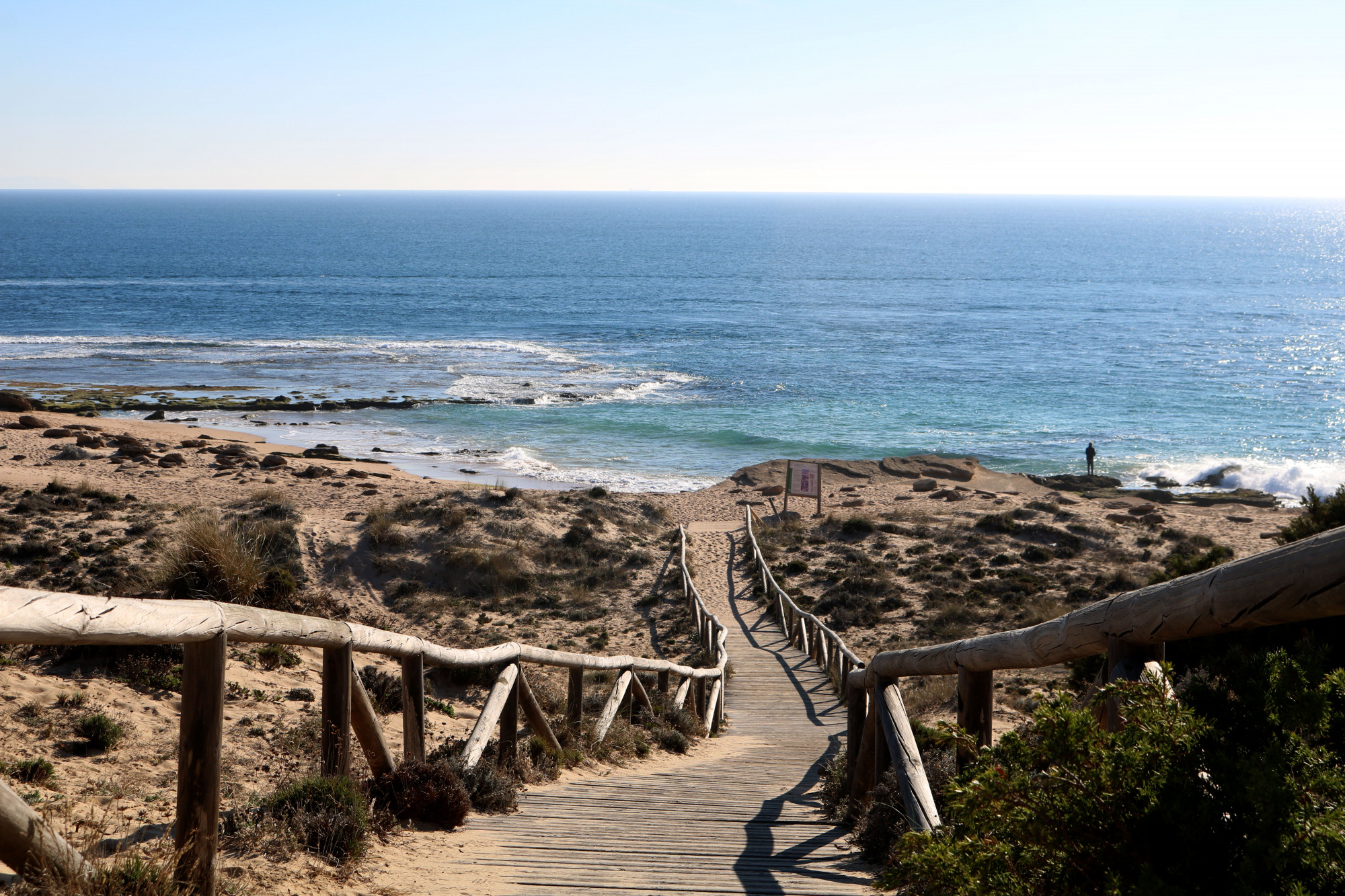 Proteja o Seu Negócio no Algarve: Estratégias de Controlo de Pragas no Inverno