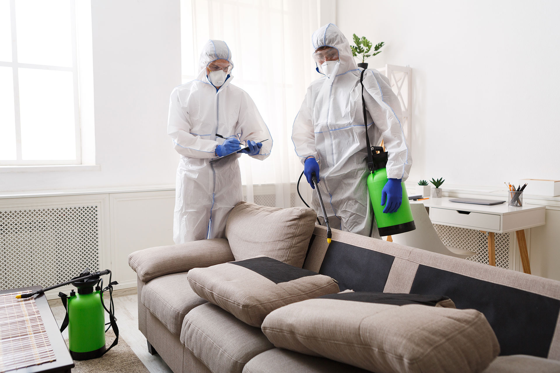 Pragas em Casa ou no Trabalho? Saiba Como Resolvemos em 24h