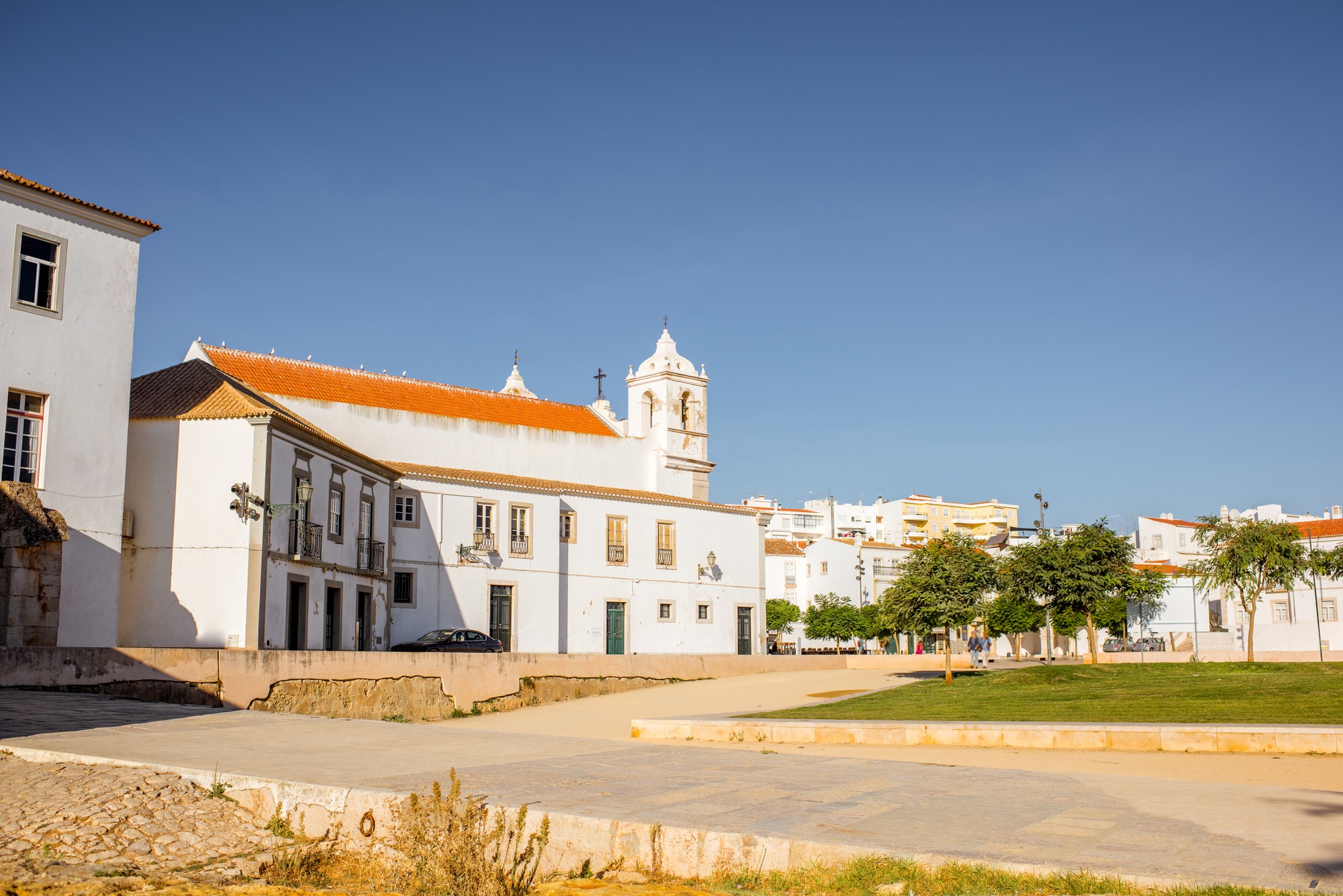 Guia de Controlo de Pragas para AL no Algarve: Prevenção Essencial em Agosto