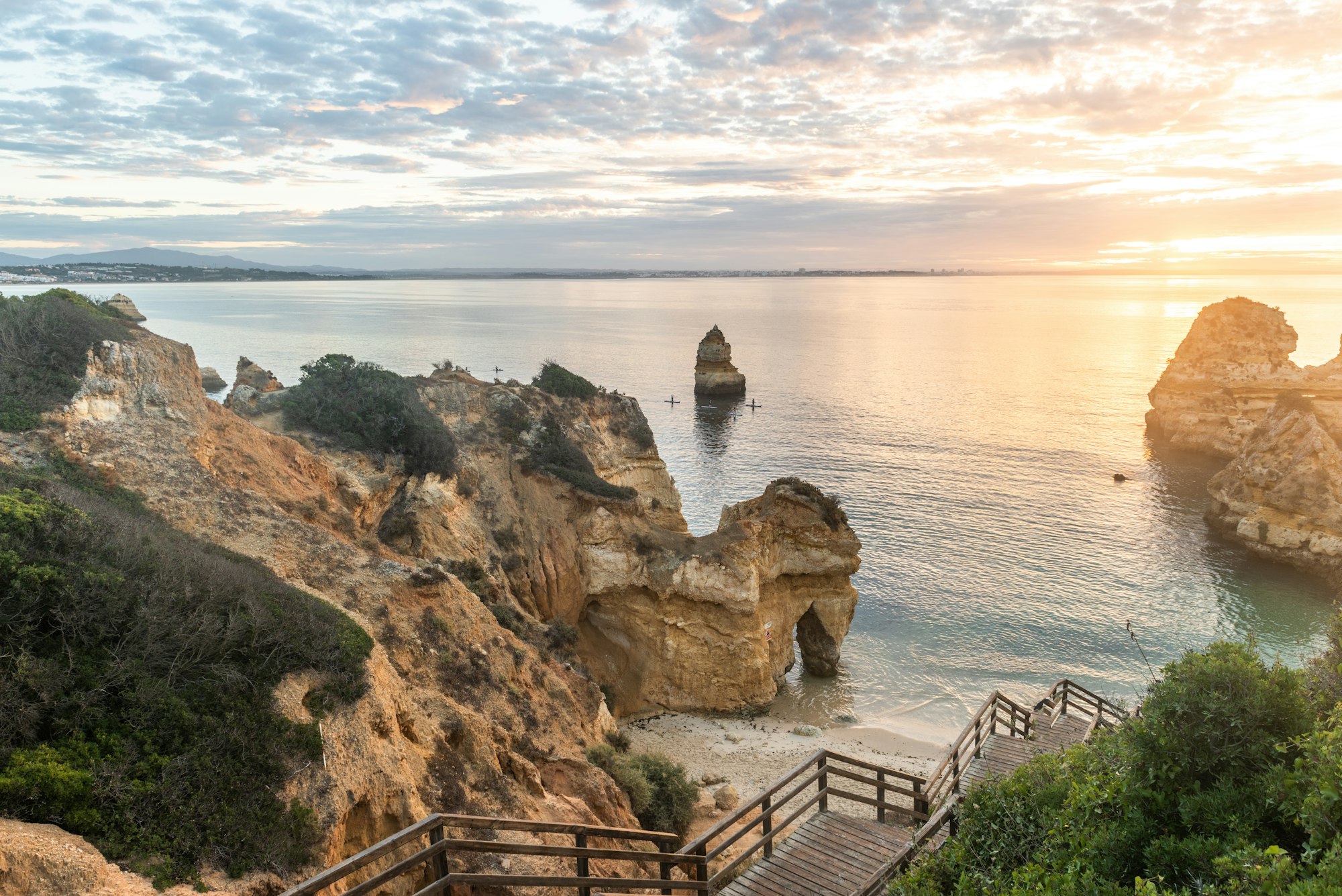 Combata as Cinco Pragas Mais Comuns no Algarve: Um Guia da Sobcontrolo