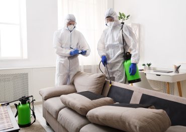 Pragas em Casa ou no Trabalho? Saiba Como Resolvemos em 24h