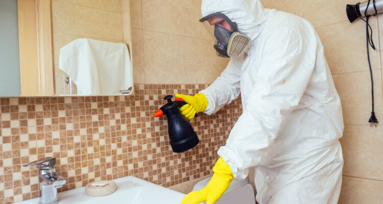 Serviços de Desbaratização em Lagos