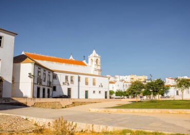 controlo de pragas para alojamento local