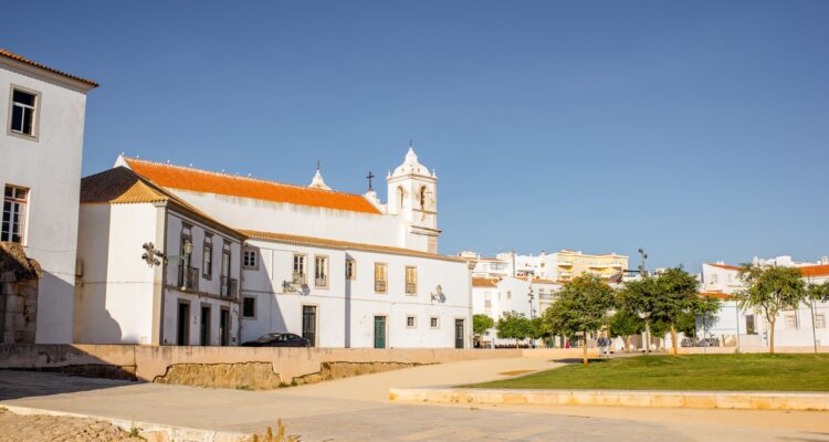 controlo de pragas para alojamento local