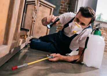 pest control worker spraying pesticides under cabinet in kitchen and using flashlight