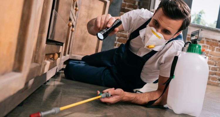 pest control worker spraying pesticides under cabinet in kitchen and using flashlight