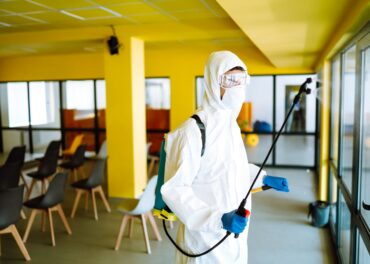 Proteja o Seu Negócio em Lagos: Dicas Essenciais para um Controlo de Pragas Eficaz no Algarve