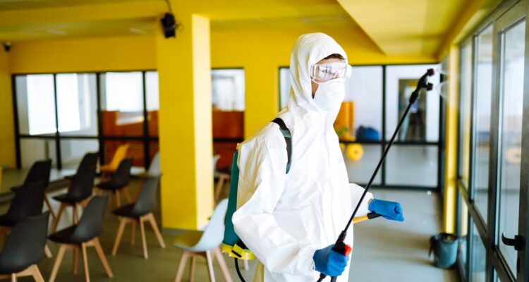 Proteja o Seu Negócio em Lagos: Dicas Essenciais para um Controlo de Pragas Eficaz no Algarve