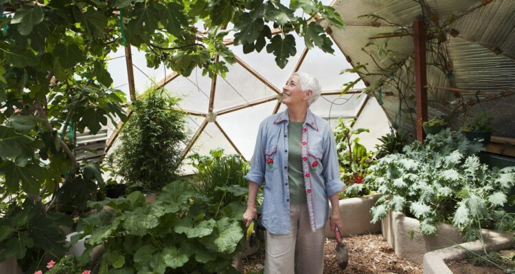 Smiling senior woman gardening in a geodesic dome, climate controlled glass house