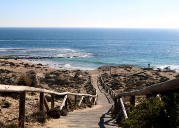 Proteja o Seu Negócio no Algarve: Estratégias de Controlo de Pragas no Inverno