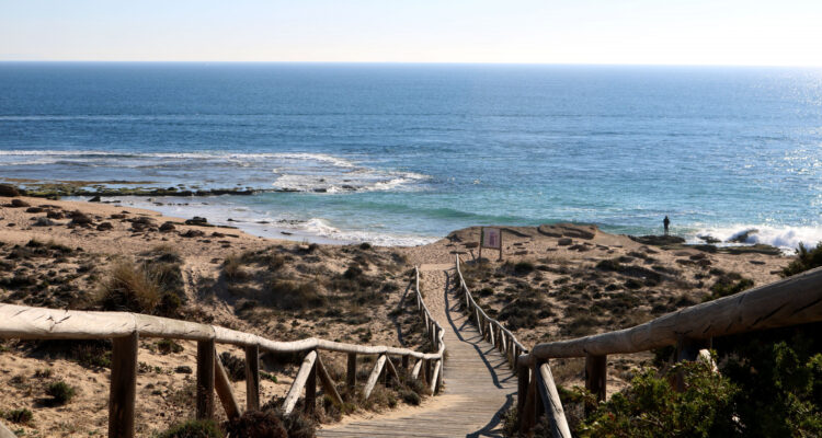 Proteja o Seu Negócio no Algarve: Estratégias de Controlo de Pragas no Inverno