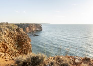Controlo de Pragas no Algarve: Prepare a Sua Propriedade para o Inverno