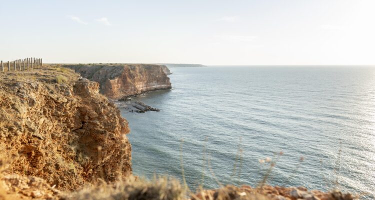 Controlo de Pragas no Algarve: Prepare a Sua Propriedade para o Inverno