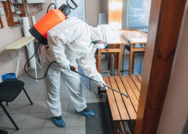 A Importância do Controlo de Pragas para Hotéis e Alojamentos Locais no Algarve no Inverno