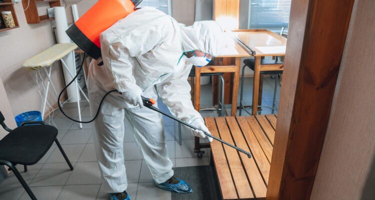 A Importância do Controlo de Pragas para Hotéis e Alojamentos Locais no Algarve no Inverno