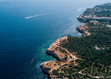 As Pragas Mais Ativas em Fevereiro no Algarve e Como Preveni-las no Seu Espaço