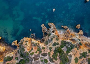 sinais de infestação no Algarve