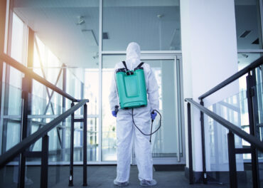 Controlo de Pragas como Parte da Manutenção Preventiva no Seu Negócio no Algarve