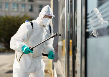 Início da Primavera no Algarve: As Pragas Que Podem Ameaçar o Seu Negócio