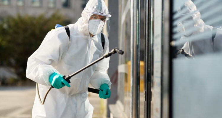 Início da Primavera no Algarve: As Pragas Que Podem Ameaçar o Seu Negócio