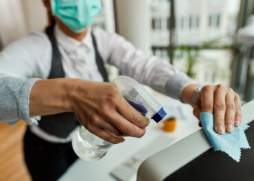 controlo de pragas em alojamento local no Algarve