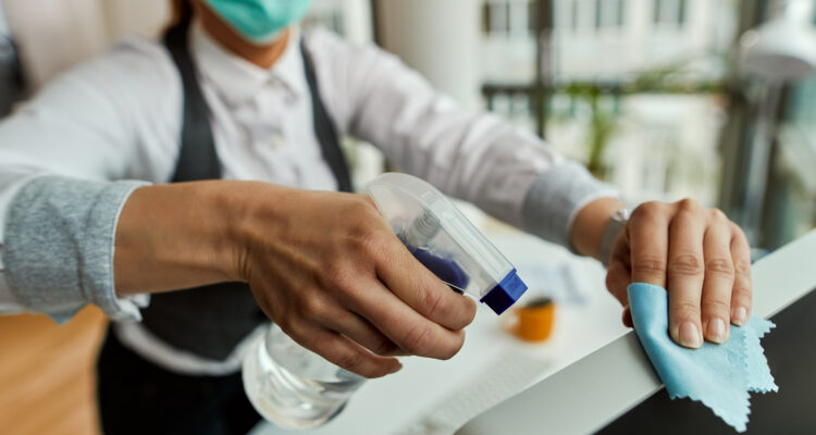 controlo de pragas em alojamento local no Algarve