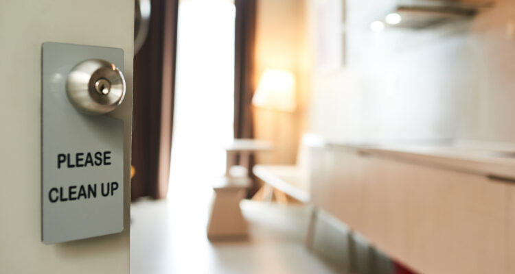 pragas em casas de férias no Algarve