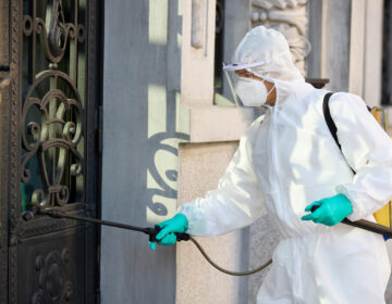 pragas no outono Algarve