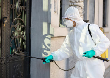 pragas no outono Algarve