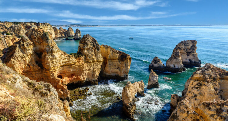 prevenção de pragas no fim da época alta Algarve