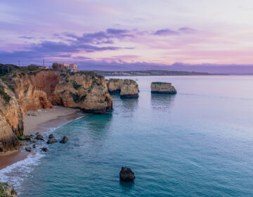 infestação de pragas no Algarve