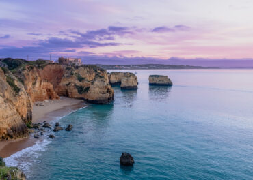 infestação de pragas no Algarve