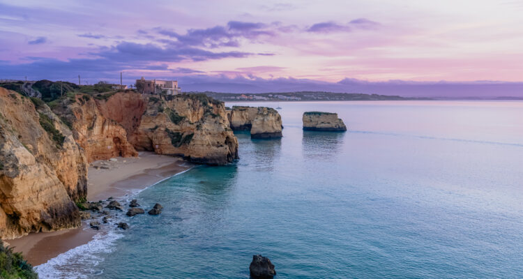 infestação de pragas no Algarve