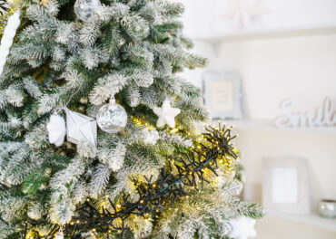 controlo de pragas em restaurantes no Natal