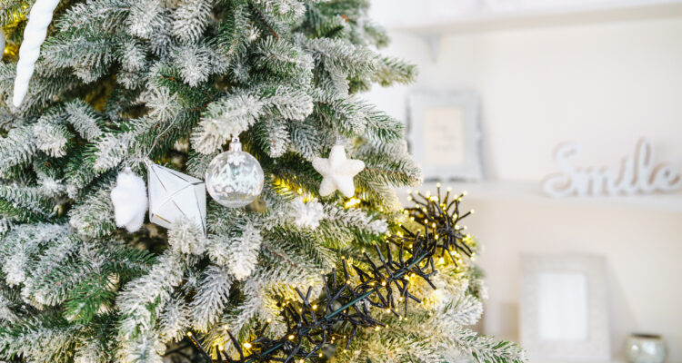 controlo de pragas em restaurantes no Natal