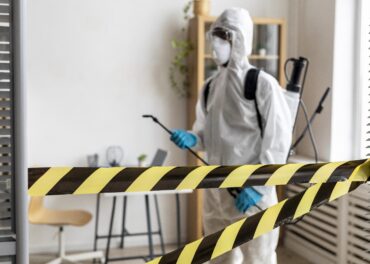 Sinais de Infestação de Baratas no Inverno: O Que Deve Vigiar no Seu Lar no Algarve