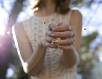 mosquitos-moscas-lagos-abril