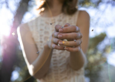 mosquitos-moscas-lagos-abril