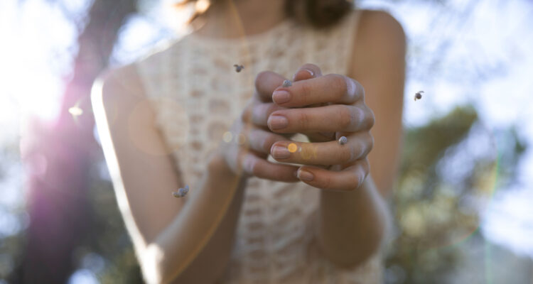 mosquitos-moscas-lagos-abril