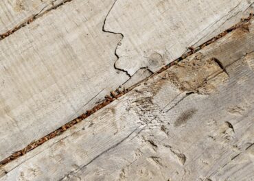 térmitas lagos abril